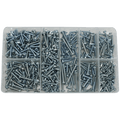 Box ASSORT SELF TAPPER GALV  500PC - SELF TAPPING SCREW NO4X16 TO NO12X 25