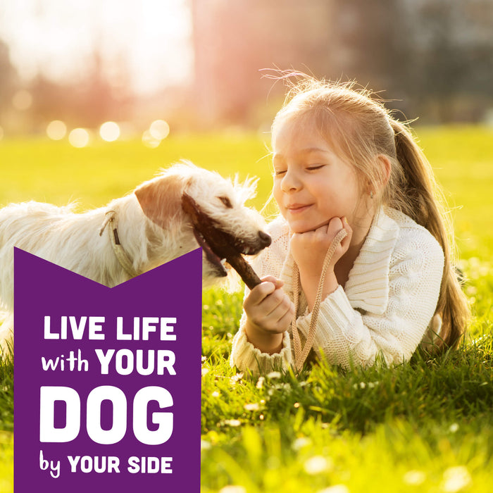 Cloud Star  Wag More Bark Less Crunchy Grain Free Dog Treats, Assorted Flavors
