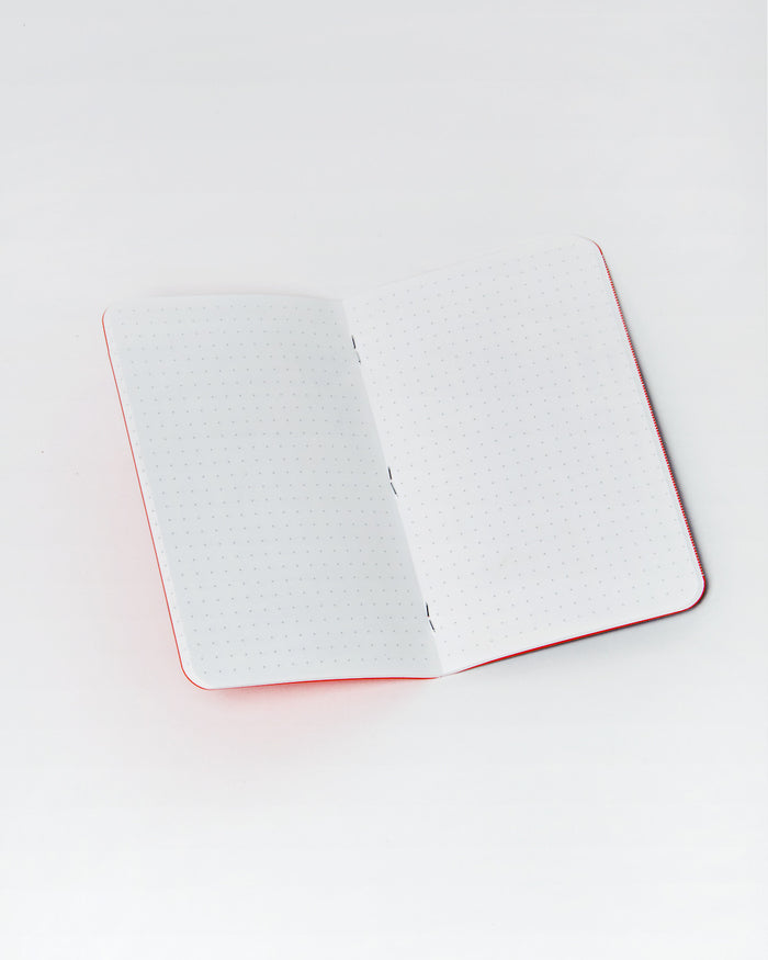 Field Notes Pack of 3 - Expedition Edition
