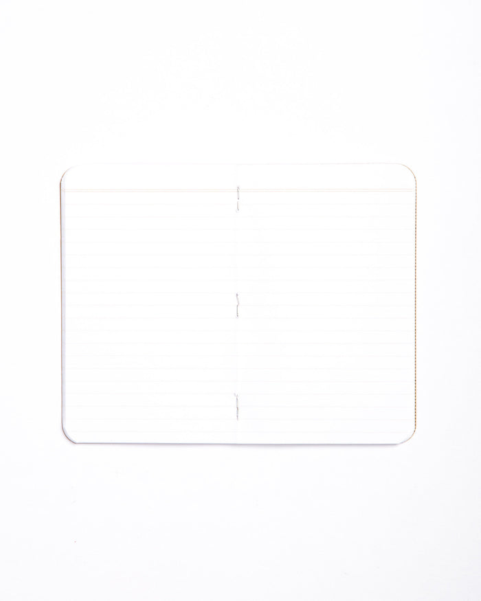 Field Notes Pack of 3 - Ruled