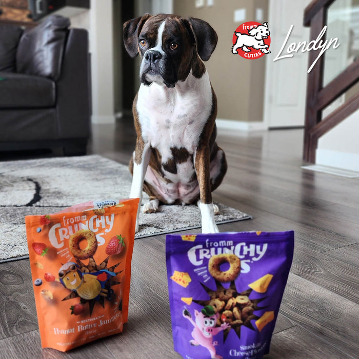 Fromm Peanut Butter Jammers Flavor Dog Treats