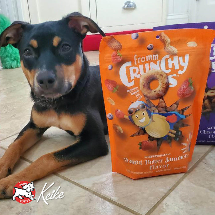 Fromm Peanut Butter Jammers Flavor Dog Treats
