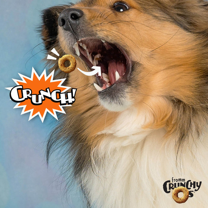 Fromm Peanut Butter Jammers Flavor Dog Treats