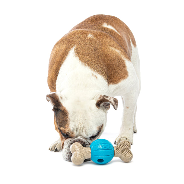 Guru Spin & Chew Bone Dog Toy