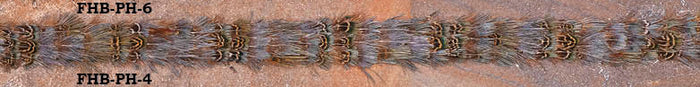 Hat Band Feather Blueish RN Straight