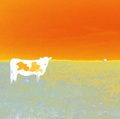 Jan Neil | I Love Cows (Orange)