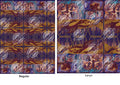 Preorder R31 FABRIC LOTR Story Double Border SEAMLESS