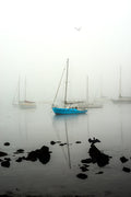 Williamstown Fog | Lady Liberty |  by Nick Psomiadis