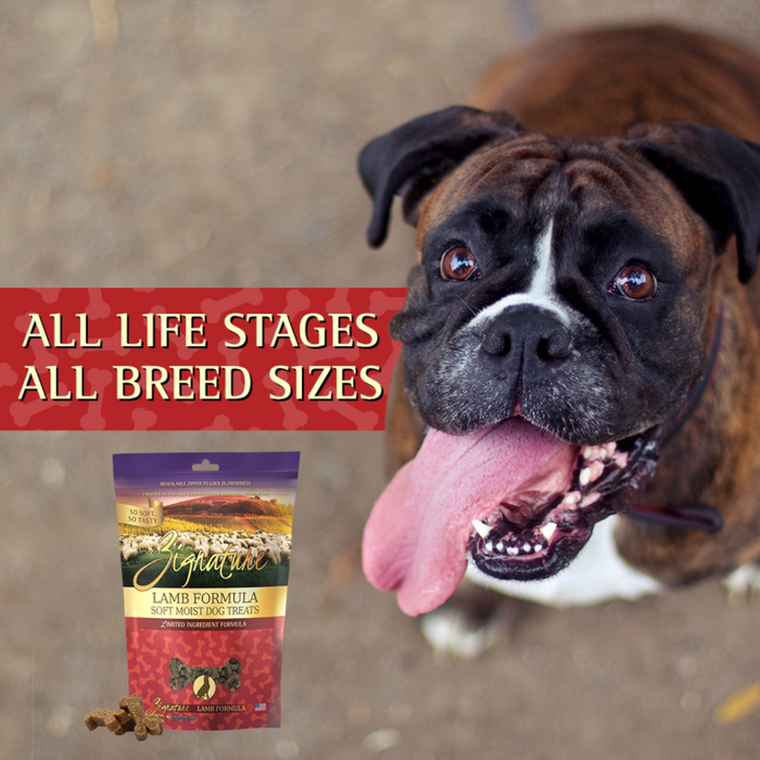 Zignature Lamb Soft Moist Treats for Dogs
