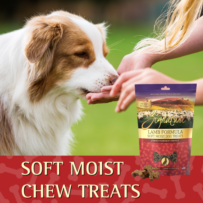 Zignature Lamb Soft Moist Treats for Dogs
