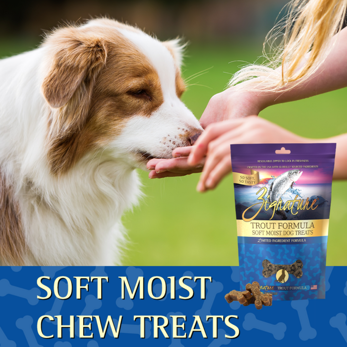 Zignature Trout Soft Moist Treats for Dogs